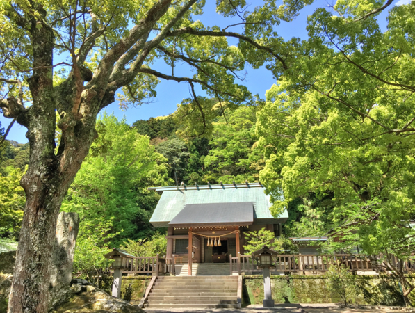 ◆千葉市バス助成金利用◆【勝田台・八千代台・花見川団地発】春を先取り♪日本三大金運神社 安房神社で初詣 人気の海鮮浜焼き食べ放題といちご狩り・お花摘みを満喫!