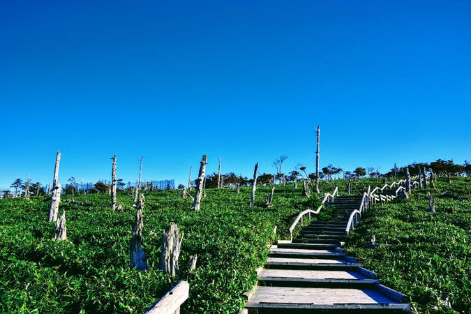 爽快!大台ケ原ハイキング【高槻・枚方・河内磐船・住道発】