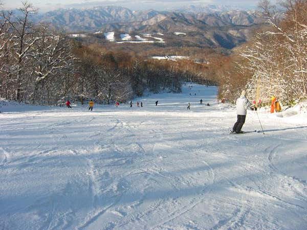 ■【柏・流山発着】朝発日帰り エーデルワイススキーリゾート【滞在約6時間】