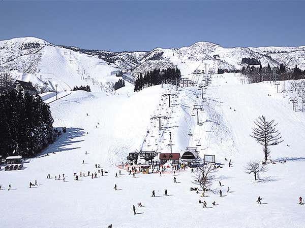 ■【全国旅行支援対象商品】【新宿発着Aタイム】朝発日帰り 上越国際スキー場【滞在約4時間55分-5時間25分】