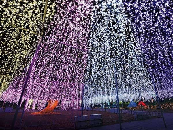 【東京・新宿発】日本三大イルミネーション「あしかがフラワーパーク」と人気の「デザートビュッフェ」&「佐野プレミアム・アウトレット」◎冬の夜の光の祭典は最高の映えスポット!いちごの里でスイーツ食べ放題にショッピングも満喫★
