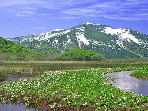 【東京発】朝発バスで行く尾瀬日帰りツアー(鳩待峠コース)◎水芭蕉やニッコウキスゲ等、高山植物の宝庫「尾瀬」をバスツアーでお手軽ハイキング。プラス850円でまいたけ弁当追加可能。【モデルコース】鳩待峠 → 山ノ鼻 → 鳩待峠(約7km)