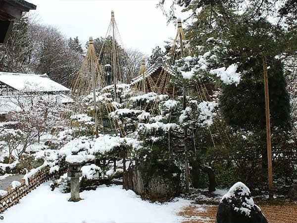 【東京・新宿発】沼田市観光協会コラボ企画!吉祥寺雪吊り観賞&いちご狩り&老神温泉◎タイアップ企画第5弾!今回は神が開いた伝説の温泉、老神温泉入浴付プラン。人気のいちご狩りや冬限定の雪吊り観賞など群馬をググっと満喫するプランです。