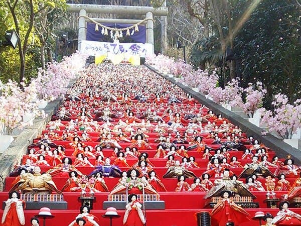 【東京発】「勝浦ビッグひな祭り」と「鋸南頼朝桜」&「早春の菜の花畑」◎房総の映えスポットを満喫!桃の節句ひな祭りを満喫&早咲きの河津桜・黄色い絨毯菜の花でお花見♪海鮮丼も楽しめるアツアツ海鮮浜焼き食べ放題の昼食付