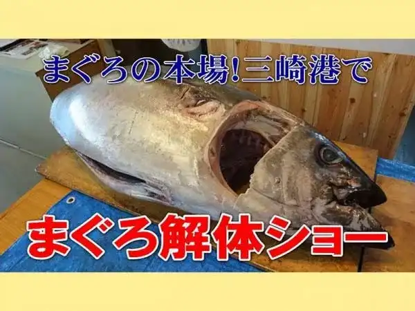 【新宿・東京発】グルメ旅 三浦半島・横須賀満喫!マグロ解体ショー&横須賀海軍カレー・ネイビーバーガー◎まぐろのお刺身食べ放題&海軍グルメでおなか一杯大満足♪しょうぶやひまわりも楽しめる内容盛りだくさんプラン☆
