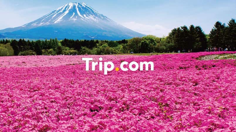 【東京23区発】<プライベートツアー>ピンクの絨毯♪約52万株が咲き誇る「富士芝桜まつり」&新スポット「ピーターラビット(TM)イングリッシュガーデン」☆フジヤマテラスでのランチブッフェに地下貯蔵庫でのワイン試飲体験も!【Trip.com公式ツアー】