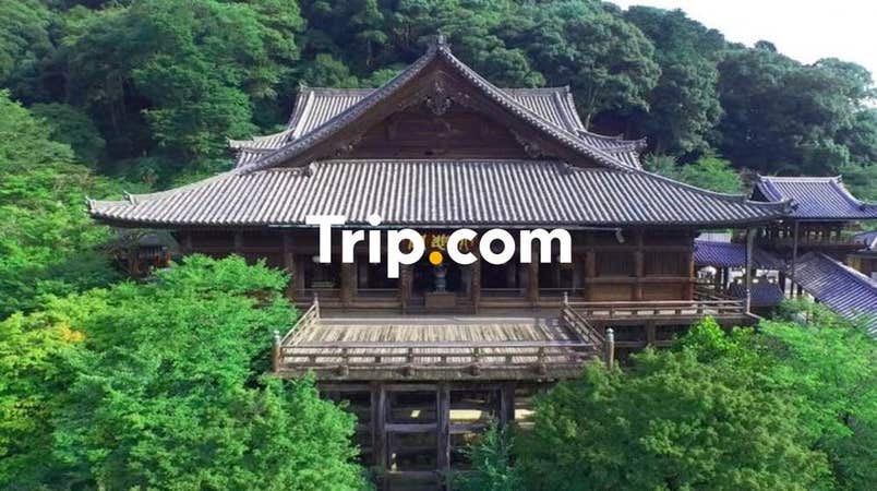 【大阪市内発】<プライベートツアー>奈良の世界文化遺産「法隆寺」「薬師寺」&花の御寺「長谷寺」をめぐる旅♪ご昼食は料亭・百楽荘でゆったり本格派の会席料理を!【Trip.com公式ツアー】