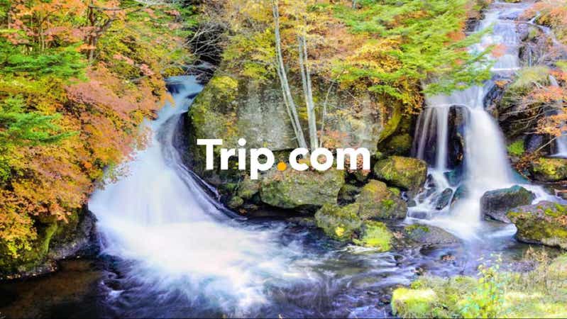 【東京23区発】<プライベートツアー>紅葉彩る奥日光を様々な角度から楽しもう!明智平ロープウェイ&中禅寺湖クルーズ&竜頭ノ滝&戦場ヶ原へご案内♪ご昼食は伝統の中禅寺金谷ホテルにて☆【Trip.com公式ツアー】