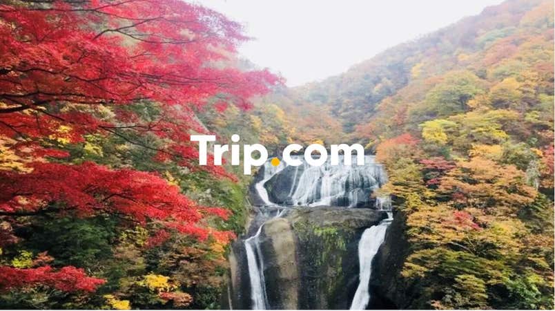 【東京23区発】<プライベートツアー>茨城秋の紅葉めぐり!日本三名瀑・袋田の滝&華やかな紅に染まる花貫渓谷♪茨城ブランド常陸牛の絶品ランチ☆【Trip.com公式ツアー】